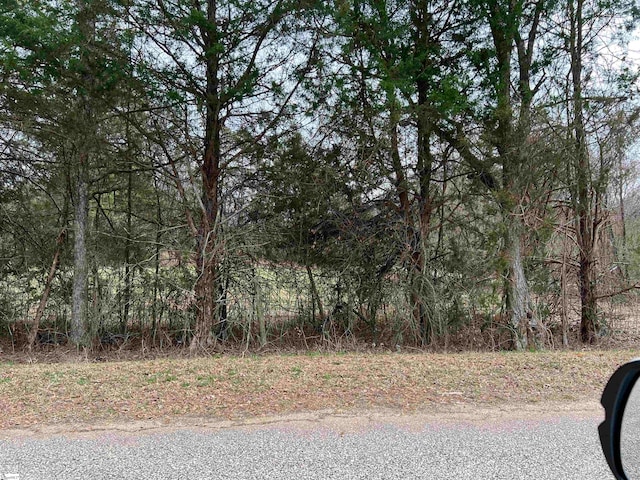 000 Edgewater Rd, Woodruff SC, 29388 land for sale