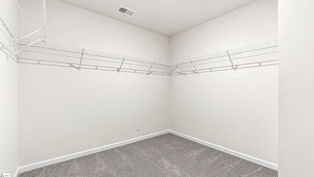 walk in closet with carpet floors