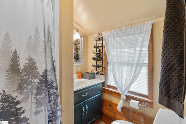 728 Tall Oak Trl, Seneca, SC 29678 - bathroom with toilet, vanity, and vaulted ceiling