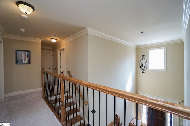 hall featuring crown molding and carpet flooring