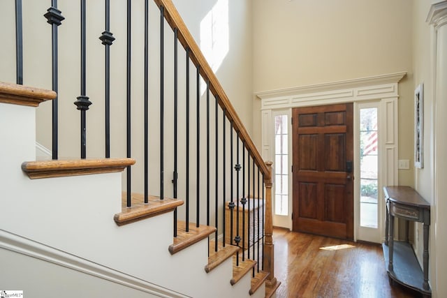 foyer entrance featuring a high ceiling and dark wood-type flooring