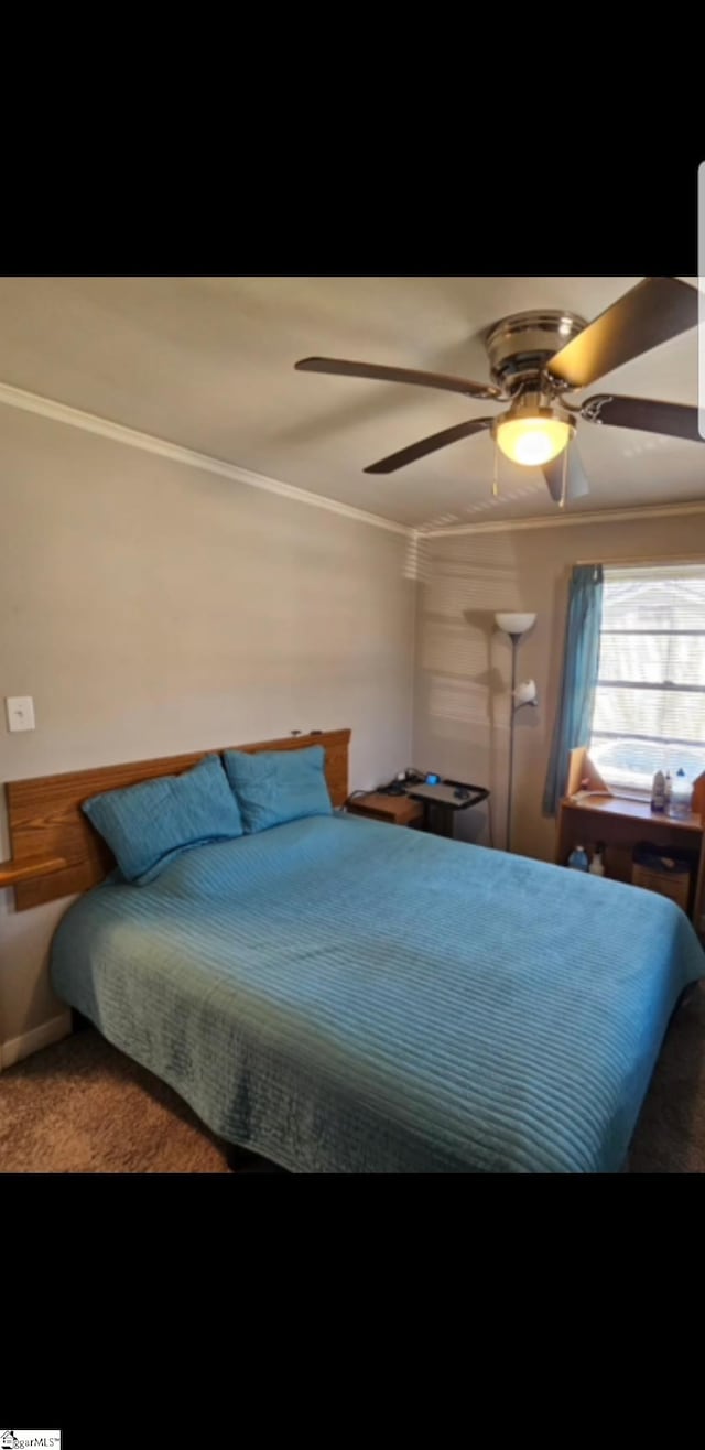 bedroom featuring crown molding and ceiling fan