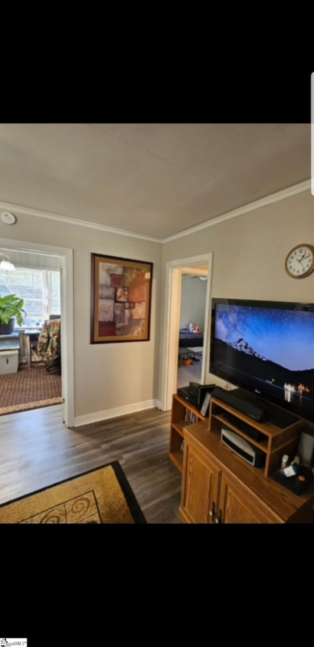 living room featuring ornamental molding and dark wood-type flooring