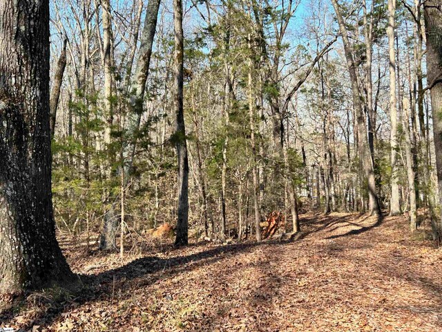 view of local wilderness