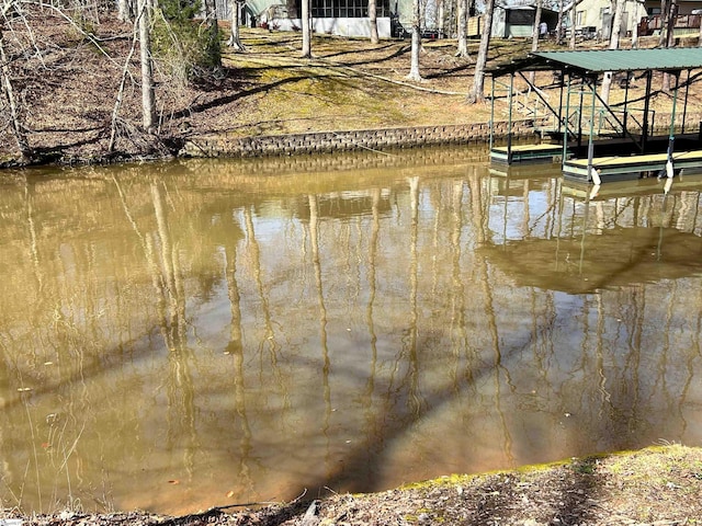 dock area with a water view