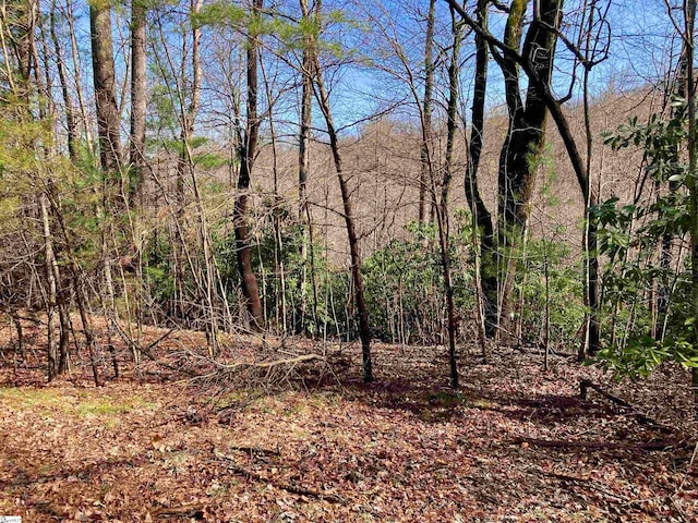 Listing photo 3 for Mountain Summit Rd Lot # 2, Zirconia NC 28790