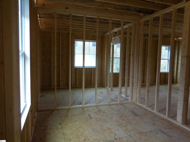 miscellaneous room with a wealth of natural light