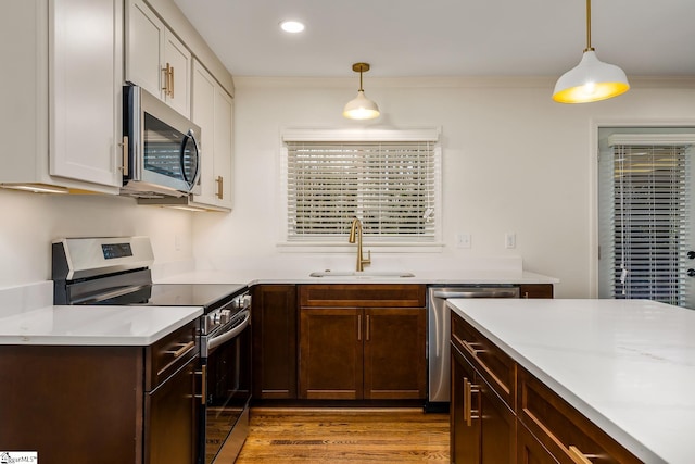 kitchen with pendant lighting, sink, appliances with stainless steel finishes, light hardwood / wood-style flooring, and dark brown cabinetry