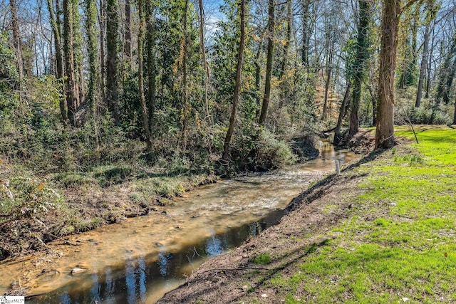 view of nature featuring a water view