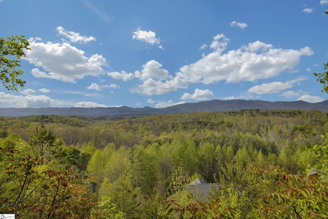 35 Packforest Rd, Taylors SC, 29687 land for sale