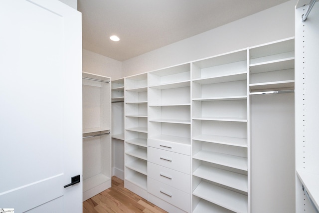 walk in closet with light hardwood / wood-style flooring