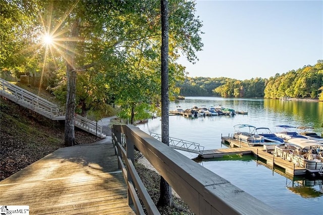 dock area with a water view