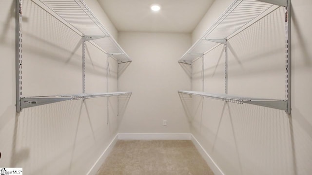 spacious closet featuring light colored carpet