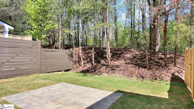 view of yard featuring a patio