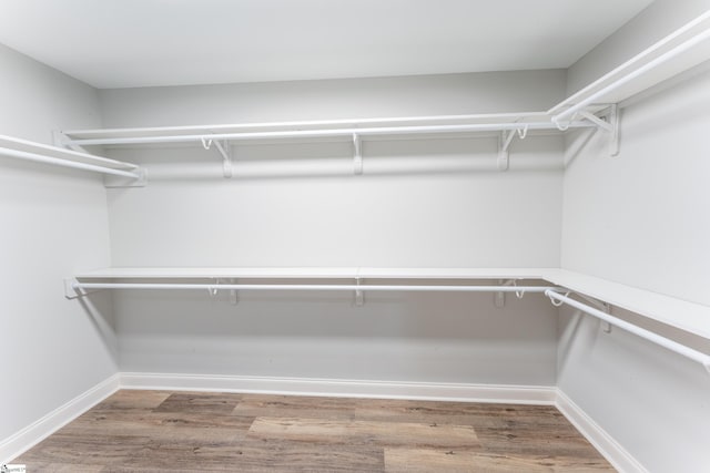 walk in closet featuring hardwood / wood-style floors