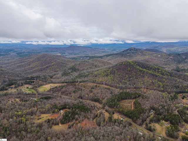 view of mountain view