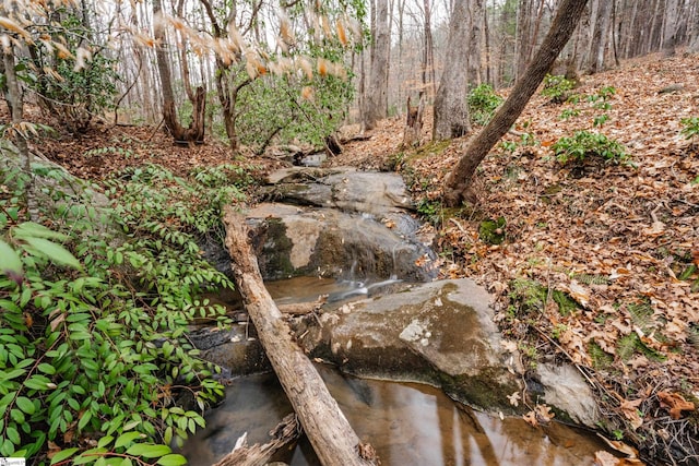 view of local wilderness with a water view