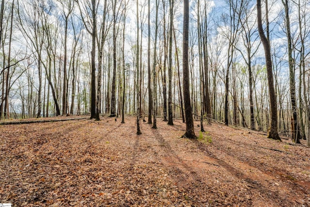 view of local wilderness