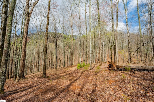 view of local wilderness