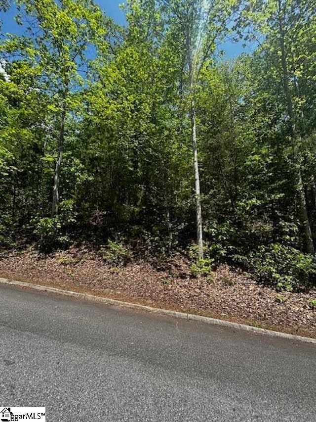 00 Old Rockhouse Rd Lot 47, Greenville SC, 29609 land for sale