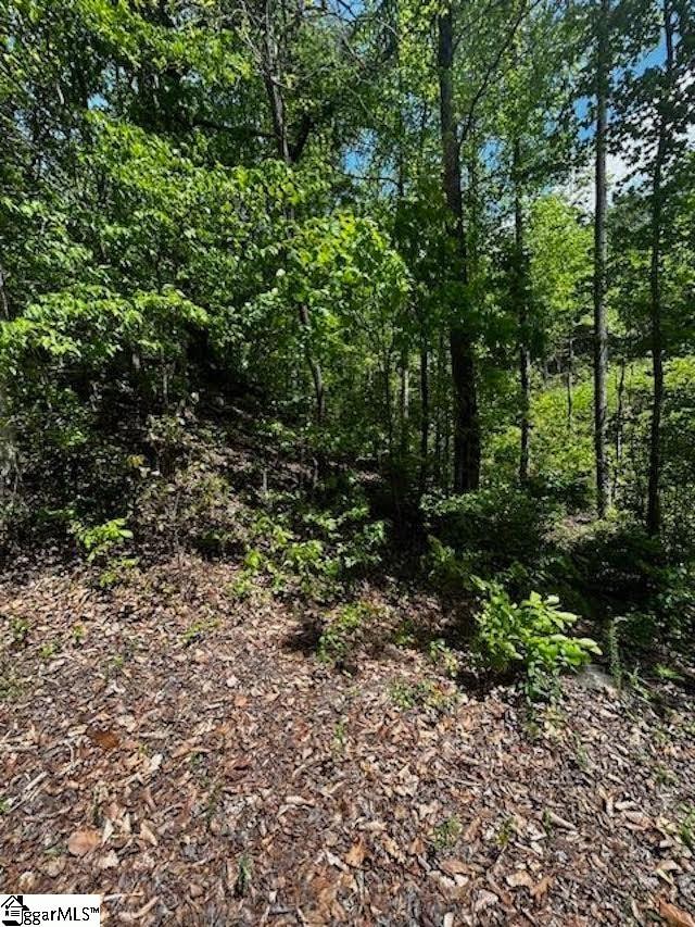 Listing photo 2 for 00 Old Rockhouse Rd Lot 47, Greenville SC 29609