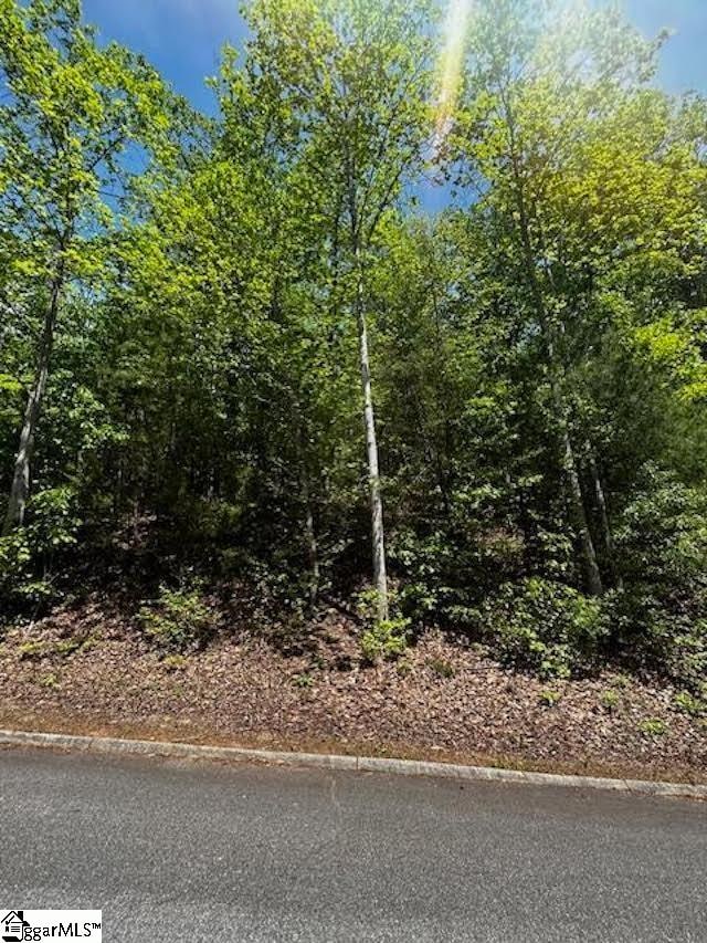 Listing photo 3 for 00 Old Rockhouse Rd Lot 47, Greenville SC 29609