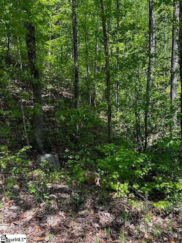 000 Rockhouse Rd Lot 48, Greenville SC, 29609 land for sale