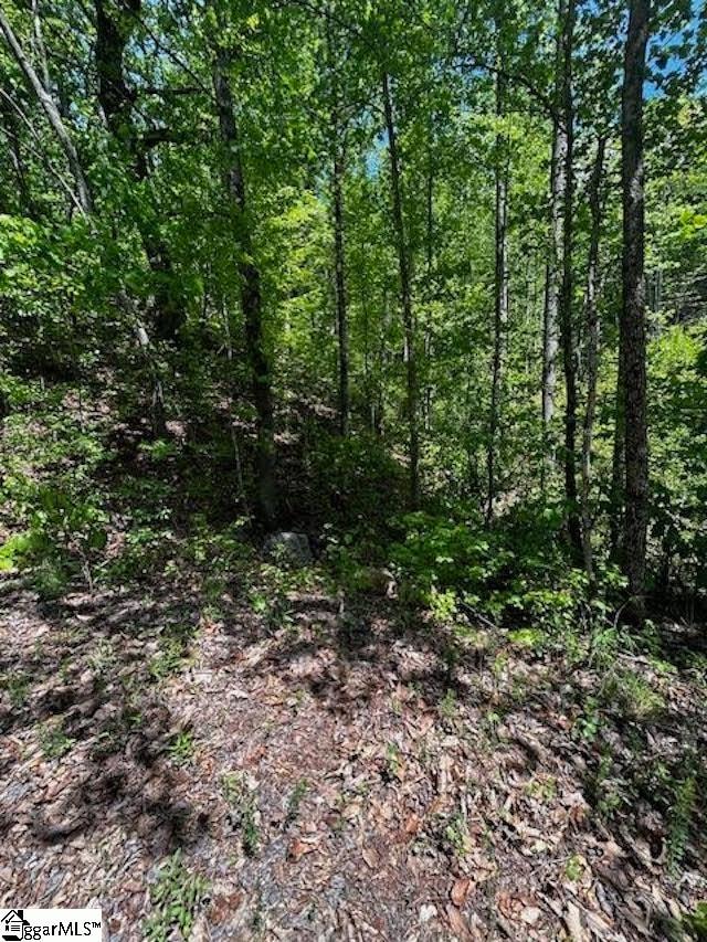 Listing photo 2 for 000 Rockhouse Rd Lot 48, Greenville SC 29609