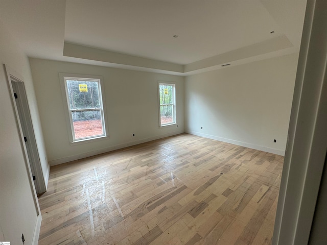 unfurnished room with a healthy amount of sunlight, a raised ceiling, and light hardwood / wood-style floors