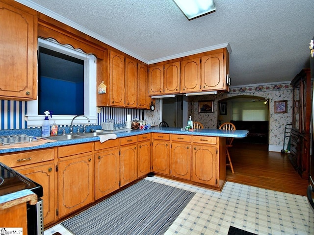 kitchen with light hardwood / wood-style flooring, electric range, a textured ceiling, sink, and ornamental molding