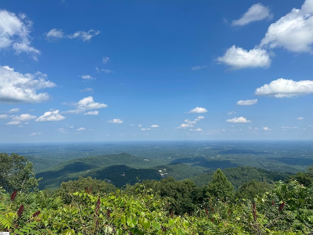 bird's eye view with a mountain view