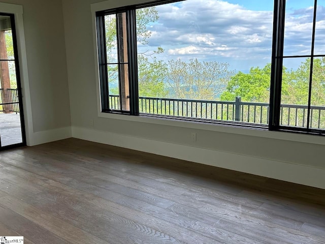 spare room with hardwood / wood-style floors and a healthy amount of sunlight