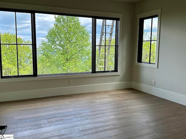 empty room featuring a healthy amount of sunlight and light hardwood / wood-style floors