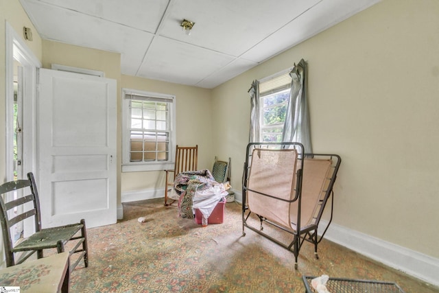 sitting room featuring a drop ceiling and a wealth of natural light