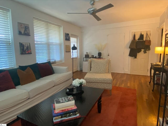 living room with hardwood / wood-style floors and ceiling fan