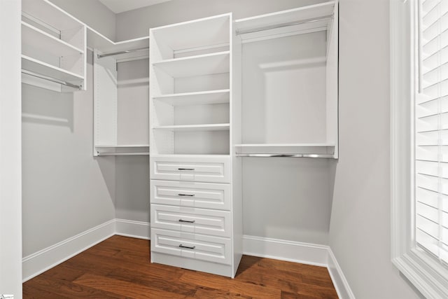 spacious closet featuring dark wood-type flooring