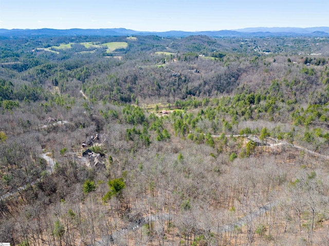 Listing photo 2 for 132overlookpa Overlook Park Drive, Hendersonville NC 28792