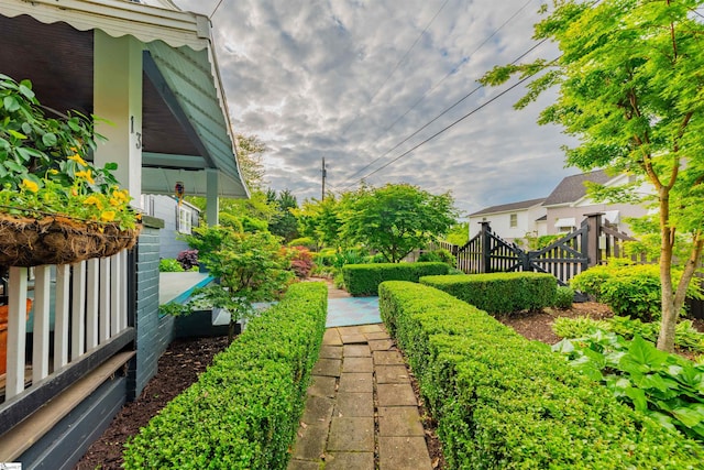 view of yard featuring a patio