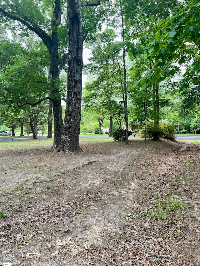 00 N Hendricks Ln, Easley SC, 29640 land for sale