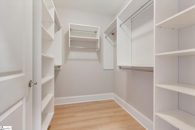 spacious closet featuring light wood-type flooring