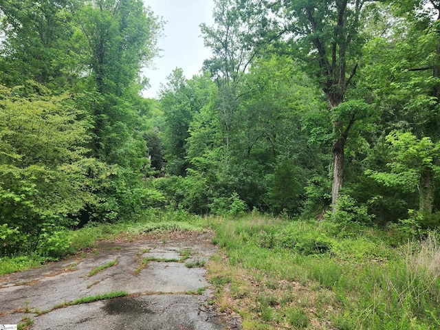 Tibbits Ln, Waterloo, SC 29384