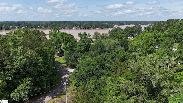 Tibbits Ln, Waterloo, SC 29384