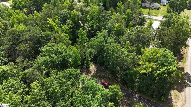 Tibbits Ln, Waterloo, SC 29384
