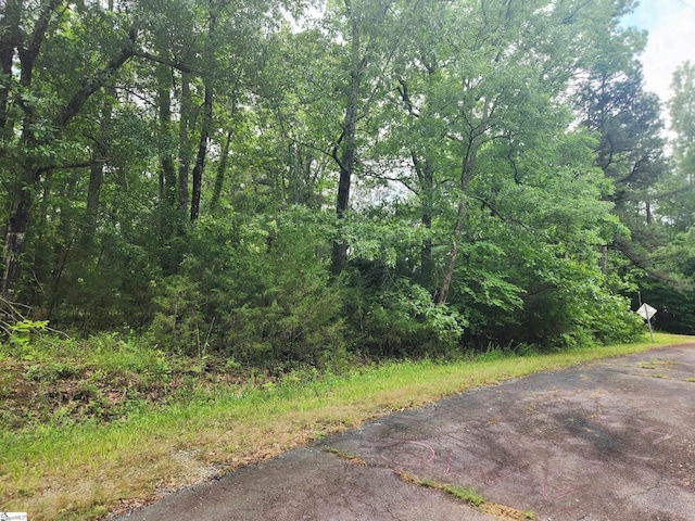 Tibbits Ln, Waterloo, SC 29384