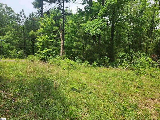 Tibbits Ln, Waterloo, SC 29384