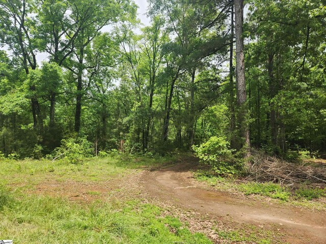 Tibbits Ln, Waterloo, SC 29384