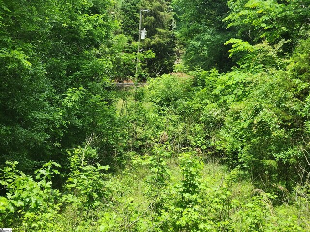 Tibbits Ln, Waterloo, SC 29384