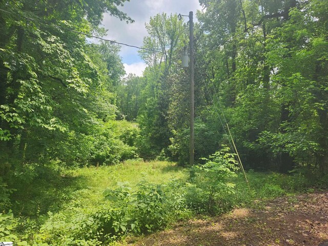 Tibbits Ln, Waterloo, SC 29384