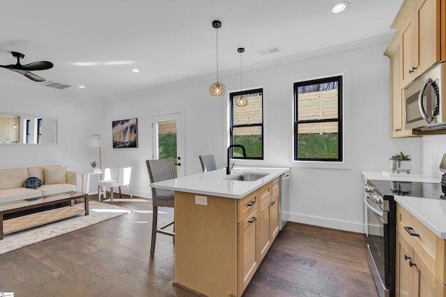 kitchen with light brown cabinets, ornamental molding, appliances with stainless steel finishes, and a sink