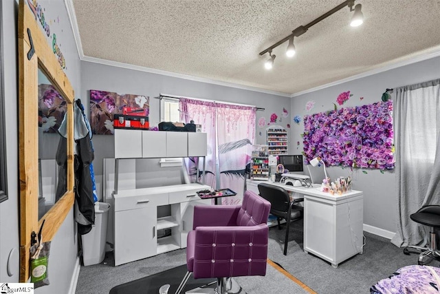 carpeted office space with ornamental molding, track lighting, and a textured ceiling